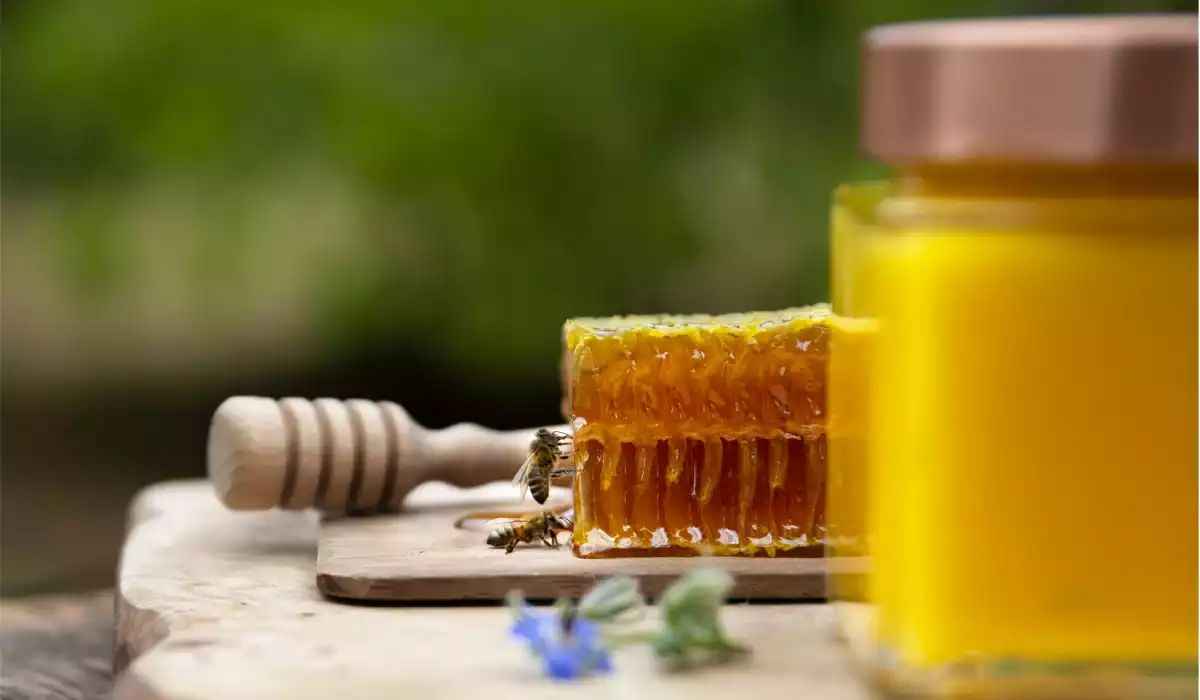 Photo d’abeilles : capturer le mouvement d’insectes essentiels